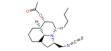 Cylindricine I